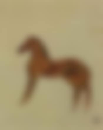 Zebras (preview)