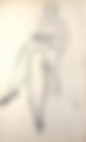 Lady reading. Reclining nude (preview)
