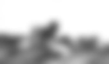 Evening - sheep on hillside, Great Malvern (preview)