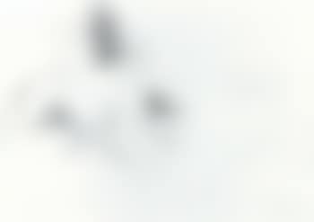 Lying nude female (preview)
