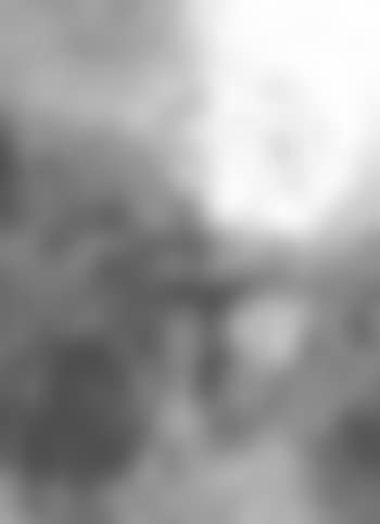 Untitled - abstract forms (preview)