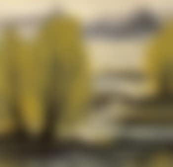 Spring view (preview)
