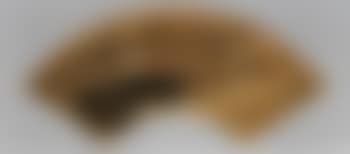 Landscape (preview)