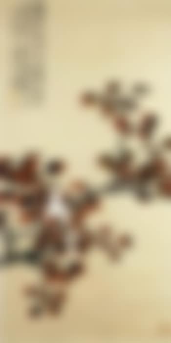 Dove on red leaves tree (preview)