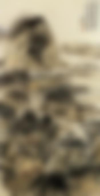 Landscape with thatched huts (preview)