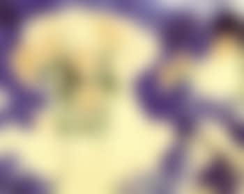 Flowers (preview)