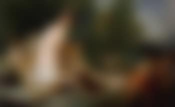 Allegory of America (preview)