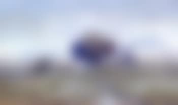 Buffalo herd (preview)