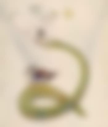 Two birds on flowering branch (preview)