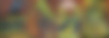 Lauf in der Sonne (preview)