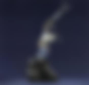 Raichle no 1 (preview)