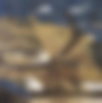 Landscape (preview)