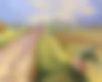 Country road, day in summer (preview)