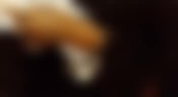 Study of hand (preview)