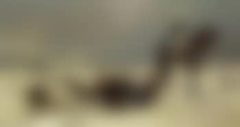 La soif, prisonniers marocains (preview)