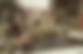 In the harem (preview)