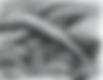 Paisaje (preview)