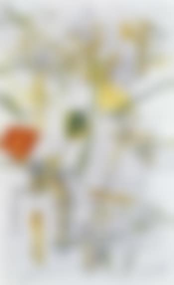Untitled (preview)