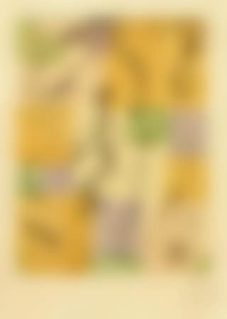 Insects (preview)