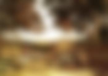 Huntsman and hounds on country lane with donkeys (preview)