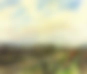 Oakley hunt (preview)