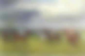 At the start, Newmarket (preview)
