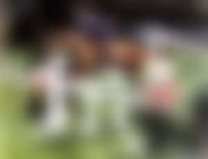 Double oxer. Triple bar (preview)