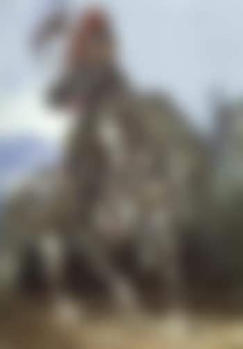 Chevalier en armure (preview)