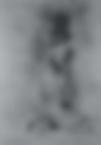 Chevrefeuille (preview)