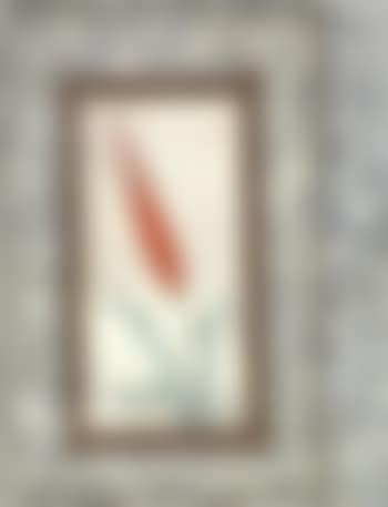 Tulips (preview)