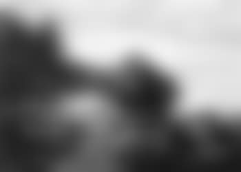 Goatherd on path in wide landscape (preview)