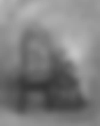 Gekooid (preview)