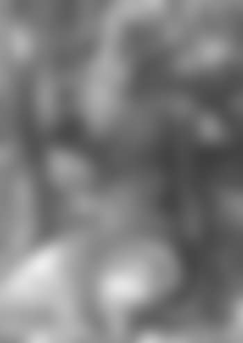 Old man seated (preview)