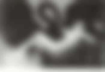 Leda and the Swan (preview)