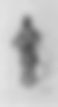 An Indian warrior (preview)