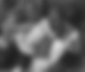 The artist's model (preview)