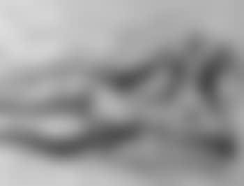 Reclining nude (preview)