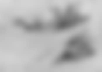 Studies of arm and open manuscript (preview)
