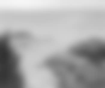 Easter cove (preview)