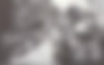 Composition (preview)