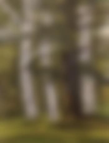 Tree portraits (preview)