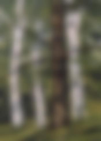 Tree portraits (preview)