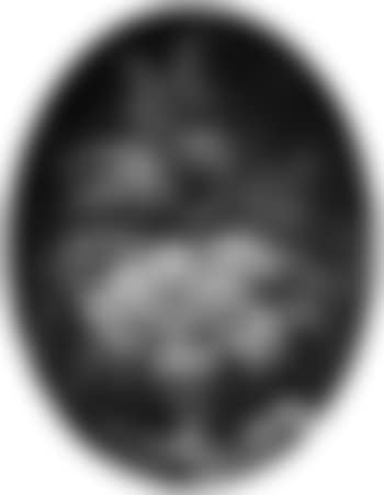 Still life with flowers in vase (preview)
