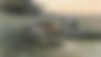 Cattle watering (preview)