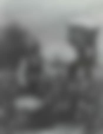 Cotton pickers (preview)