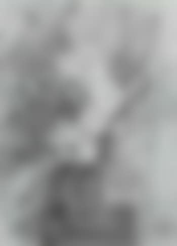 Flowers in blue vase (preview)