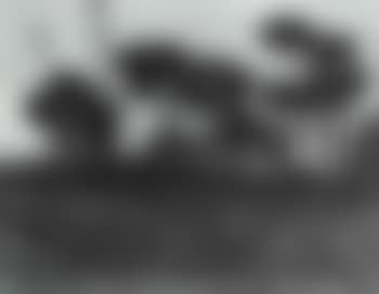Italian countryside (preview)