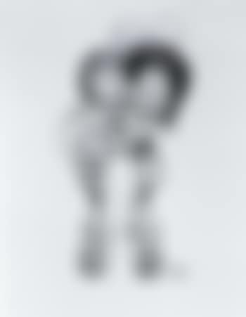 The new arrival (preview)