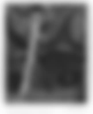 Le cantique des cantiques (preview)