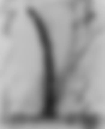 Study for soft clarinet (preview)
